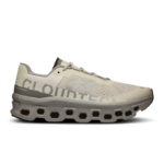 On Running Cloudmonster Ice/Alloy